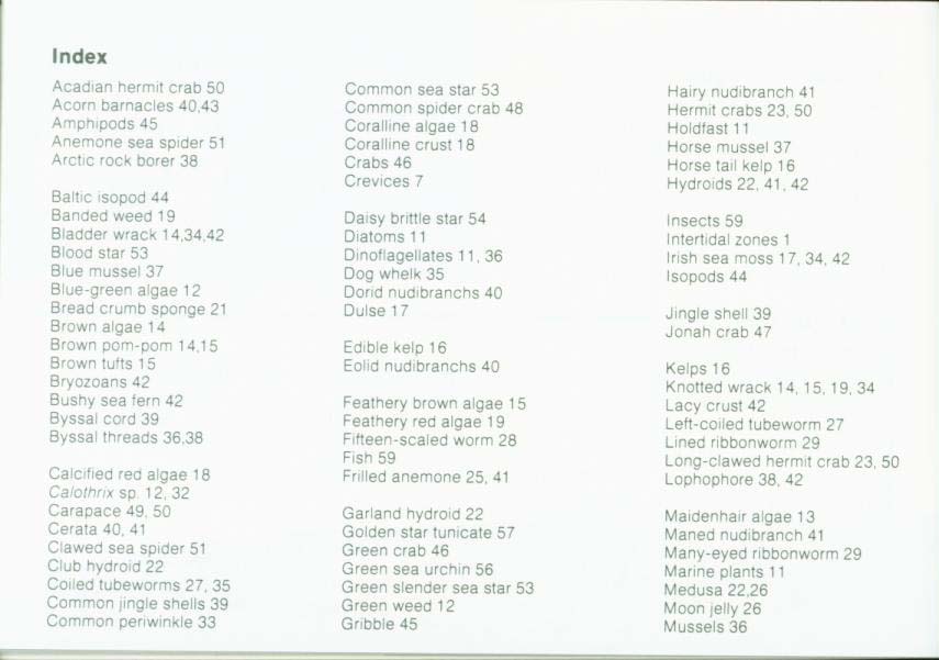 LIFE ON INTERTIDAL ROCKS: a guide to marine life of the rocky North Atlantic coast. nasg5406r